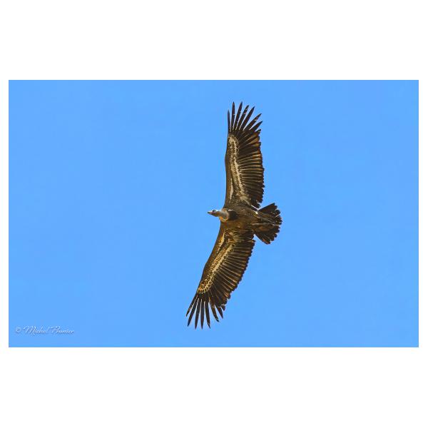 PHOTO84, CLUB, 84 , LUBERON